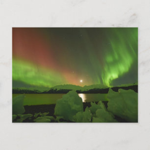 Magical Aurora Postcard