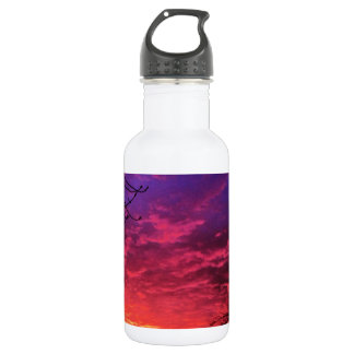 Magical Colourful Sunset 532 Ml Water Bottle