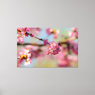 Magical Colours Of The Sakura Garden In Spring Canvas Print