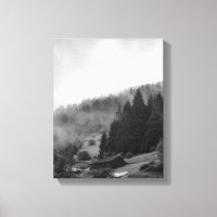 Magical, cool nature in fog