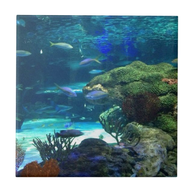 Magical Coral Reef Tile (Front)