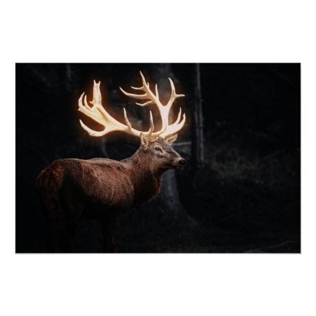 Magical Deer Poster (Front)