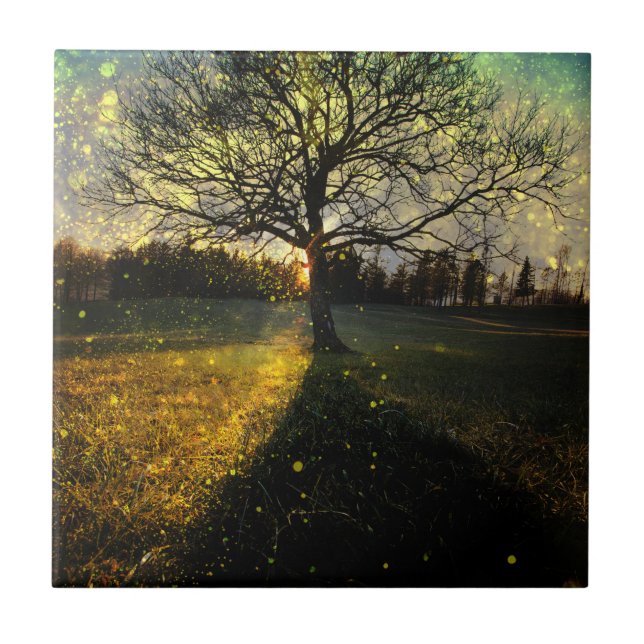 Magical fireflies dreamy landscape tile (Front)