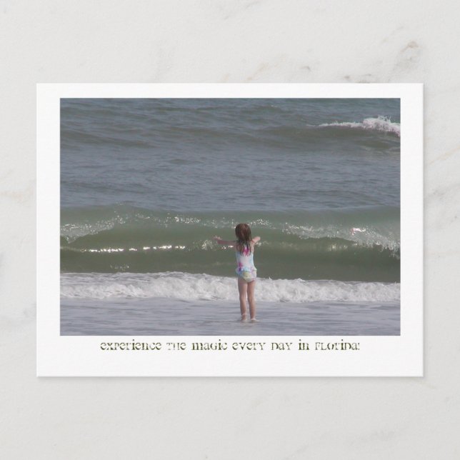 Magical Florida. Postcard (Front)