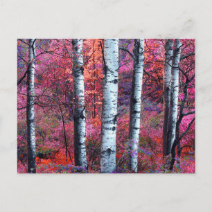 Magical Forest Postcard