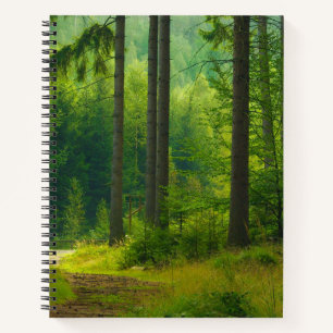Magical green forest path trees mist notebook