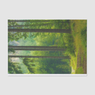 Magical green forest path trees mist tissue paper