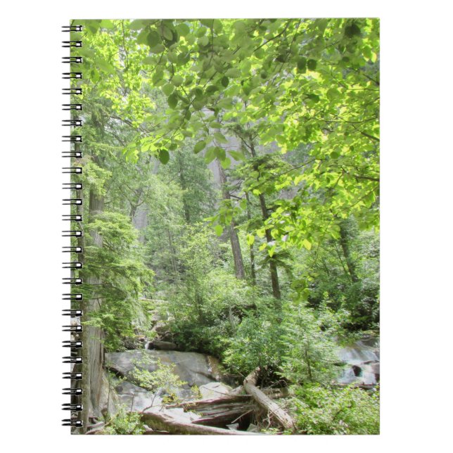 Magical Green Forest Scene.   Notebook (Front)