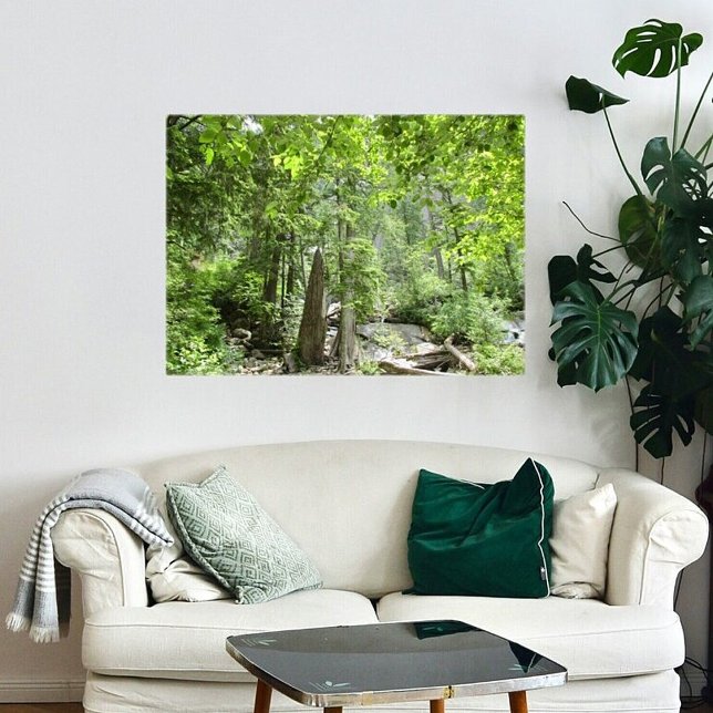 Magical Green Forest Scene.  Poster (Creator Uploaded)