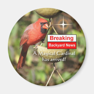 Magical Male Cardinal Magnet