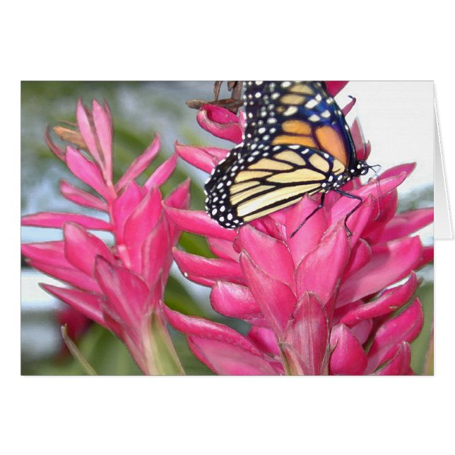 Magical Monarch (Front Horizontal)