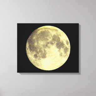 Magical Moon Canvas Print
