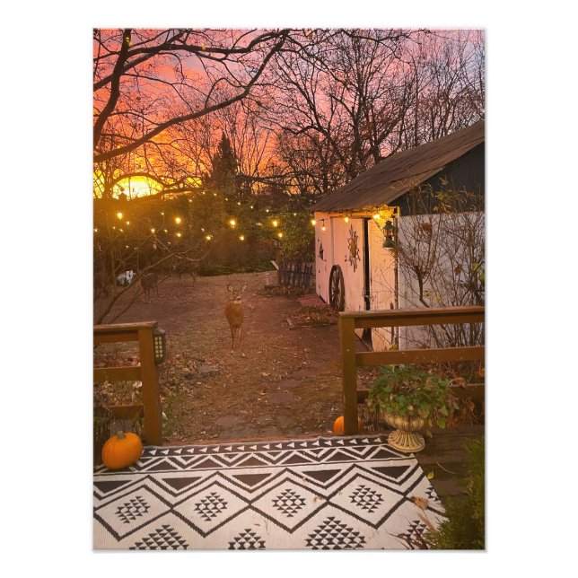 Magical Morning Photo Print (Front)