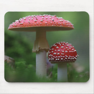 Magical Mushrooms Mouse Pad