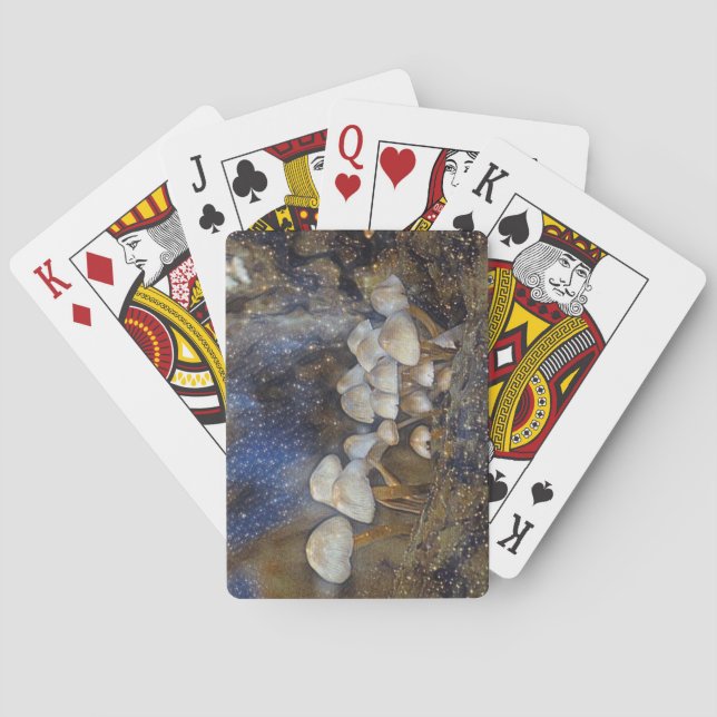 Magical Mushrooms Playing Cards (Back)