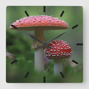 Magical Mushrooms Square Wall Clock