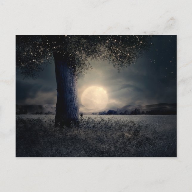 Magical Night Moon Postcard (Front)