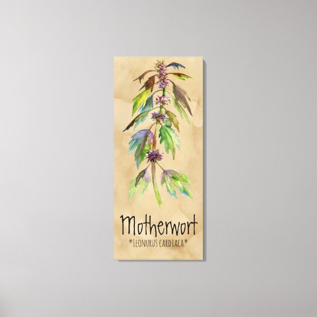 Magical Plants Motherwort 18.30'' x 41.73'' Canvas Print (Front)