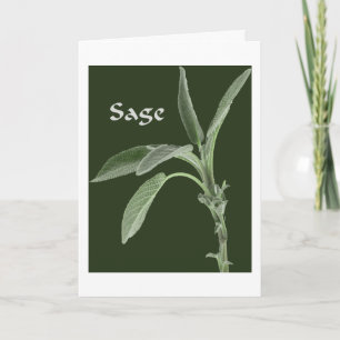 Magical Plants - Sage Card