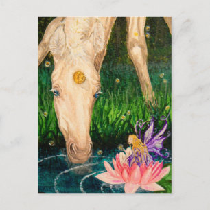 Magical Pond Unicorn & Fairy Fantasy postcard