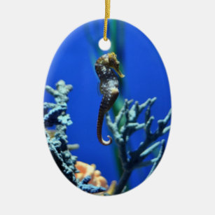 Magical Seahorse Ceramic Ornament