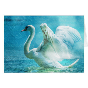 Magical Swan