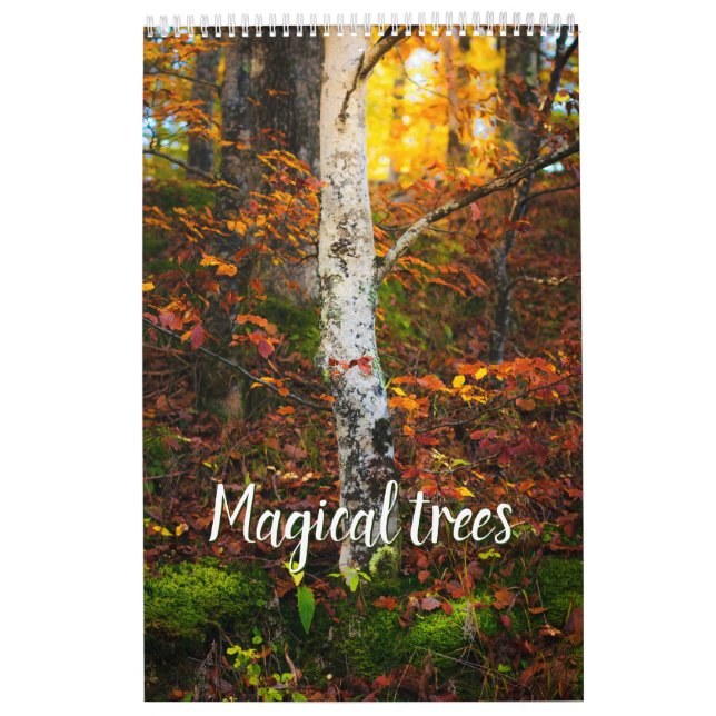 Magical trees landscape photo calendar (Cover)