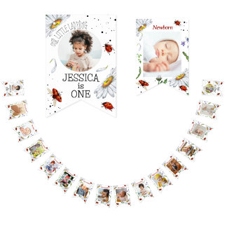 Magical Watercolor Cute 1st Birthday Ladybug Bunti Bunting Flags