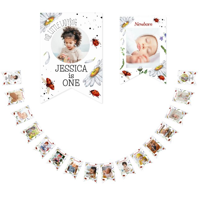 Magical Watercolor Cute 1st Birthday Ladybug Bunti Bunting Flags (Creator Uploaded)