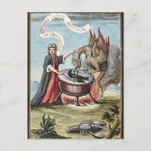 Magician and Dragon at the Cauldron of Alchemy Postcard