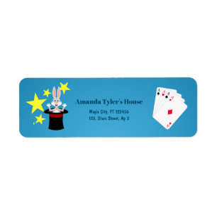 Magician Boy Show Birthday Party