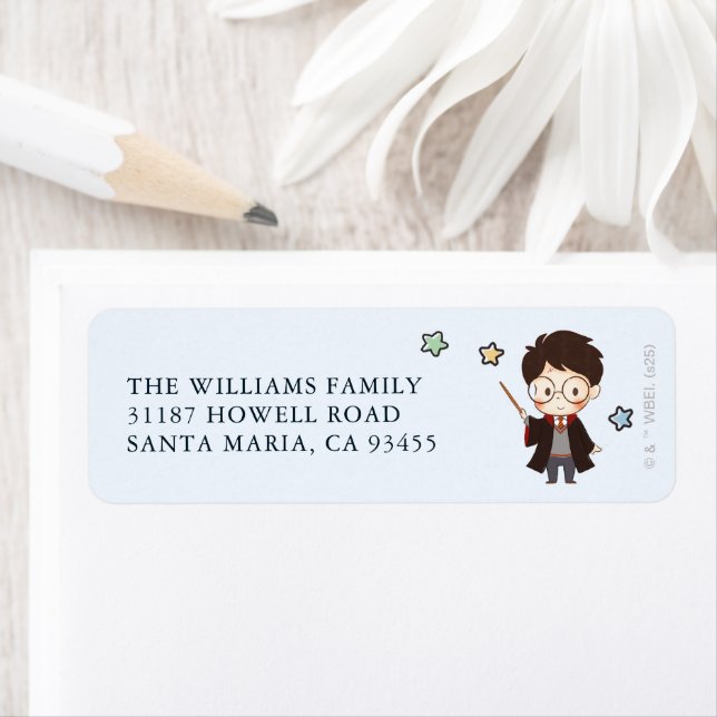 Magique HARRY POTTER™ et Hogwarts (En situation)