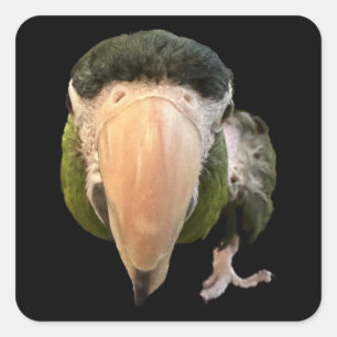 magique mikey super stickers