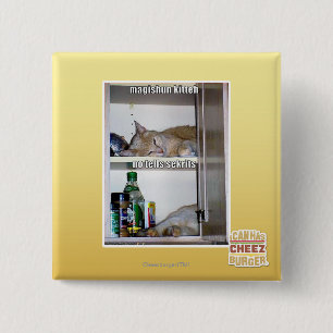 Magishun Kitteh 2 Inch Square Button