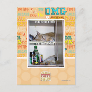 Magishun Kitteh Postcard