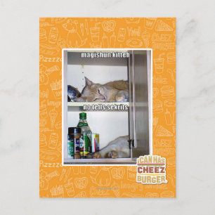 Magishun Kitteh Postcard
