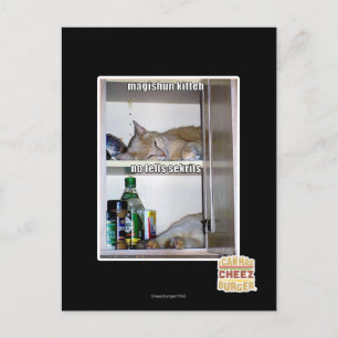 Magishun Kitteh Postcard