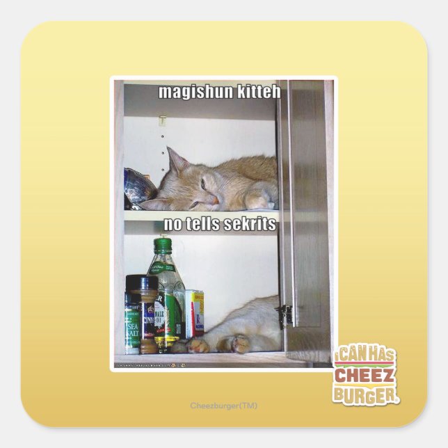 Magishun Kitteh Square Sticker (Front)