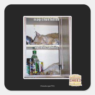 Magishun Kitteh Square Sticker