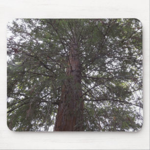 Magneficent Tree Mouse Pad