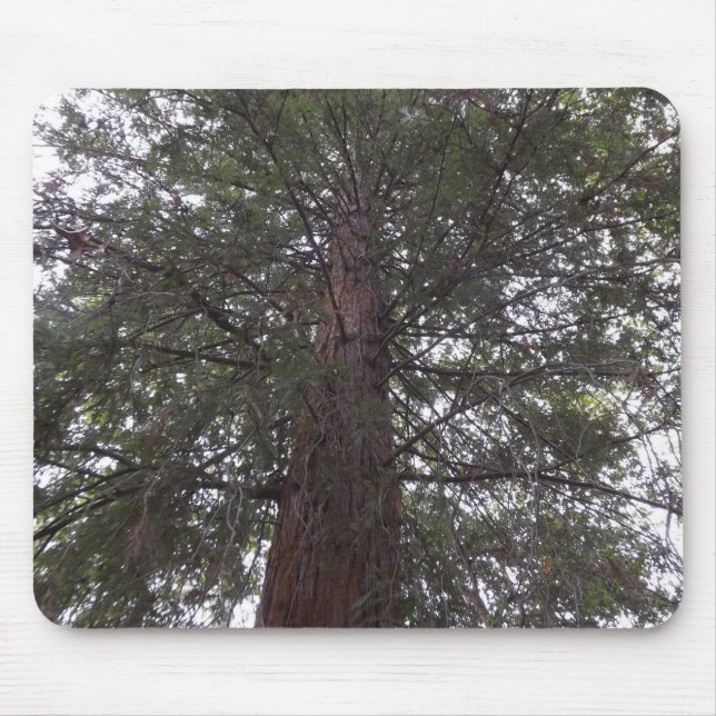 Magneficent Tree Mouse Pad (Front)