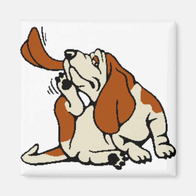 Magnet (Front)