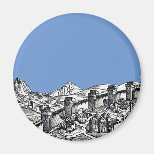 Magnet