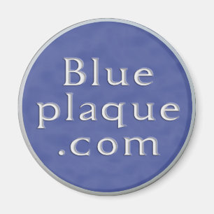 Magnet