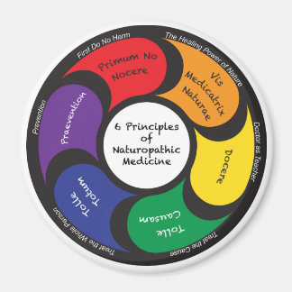 Magnet - 6 Principles of Naturopathic Medicine
