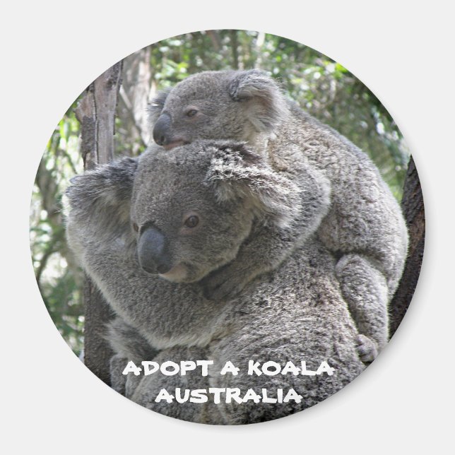 Magnet Adopt A Koala Australia ZIZZAGO (Front)