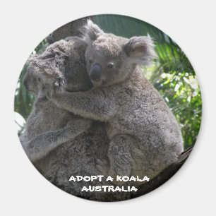 Magnet Adopter Une Koala Australie ZIZAGO
