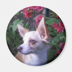 Magnet "Ajouter votre propre photo"