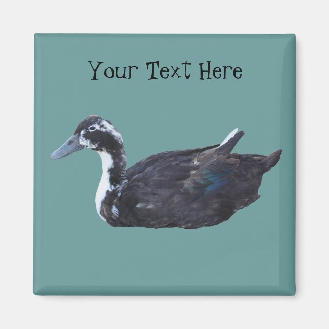 Magnet animal de ferme de canard noir mou (Devant)