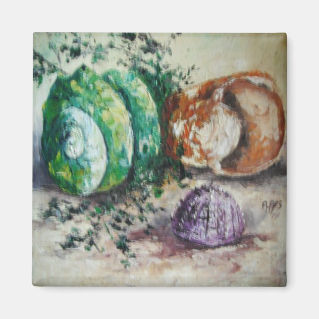 Magnet Ann Hayes Painting Sea Shells (Front)